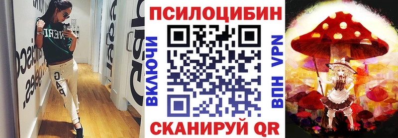 Псилоцибиновые грибы ЛСД Салаир